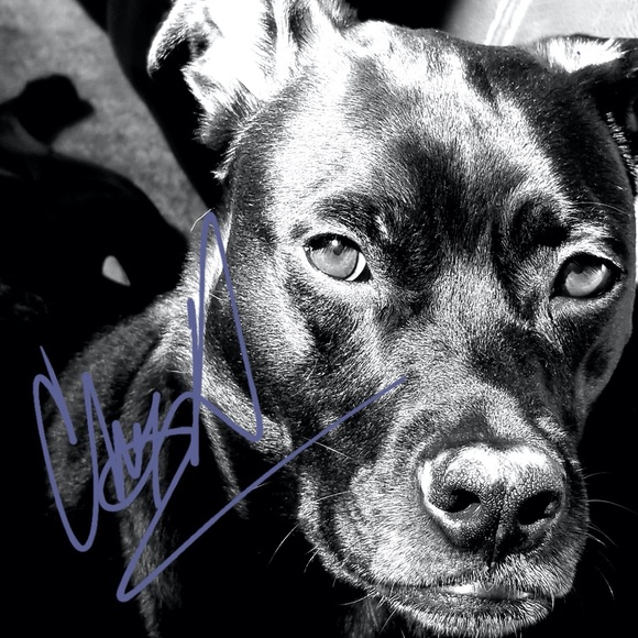 I finally said YES! Never too old to start new 🤗 xoxo - Picture 5 of 10